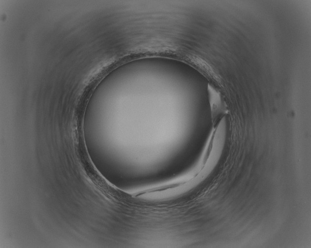 X0000073420680200608251551