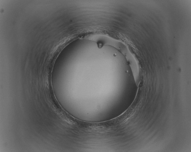 X0000073420681200608251551