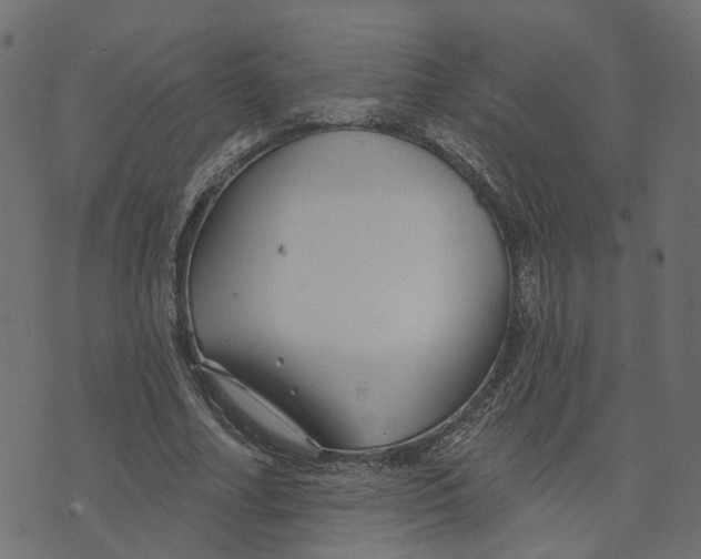 X0000073420682200608251551