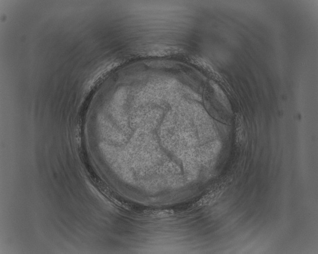 X0000073420683200608251551