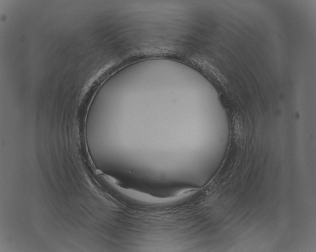 X0000073420684200608251551