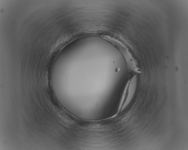 X0000073420685200608251550