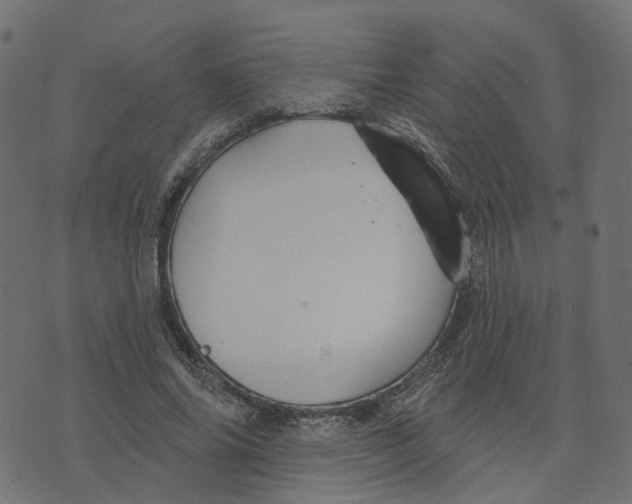 X0000073420686200608251550