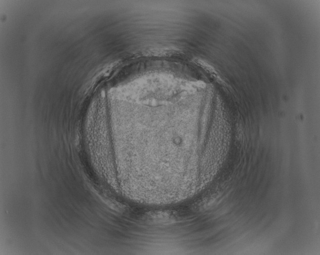 X0000073420687200608251550