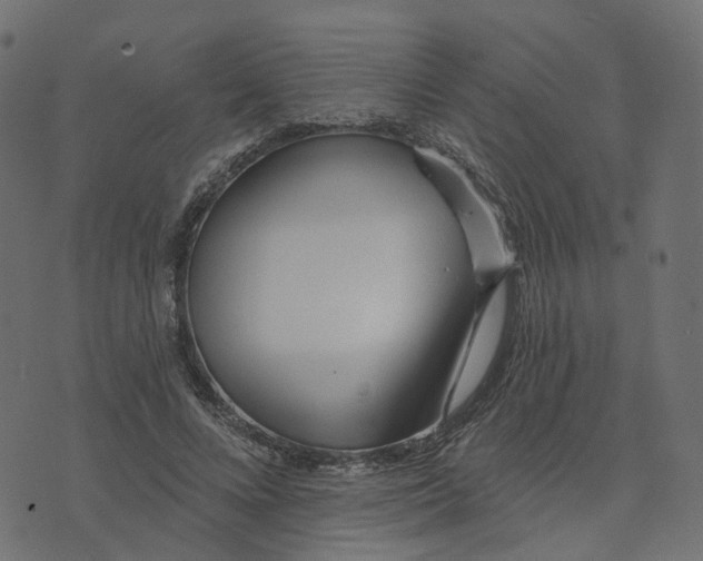 X0000073420688200608251550