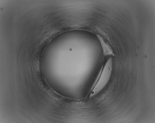 X0000073420689200608251550