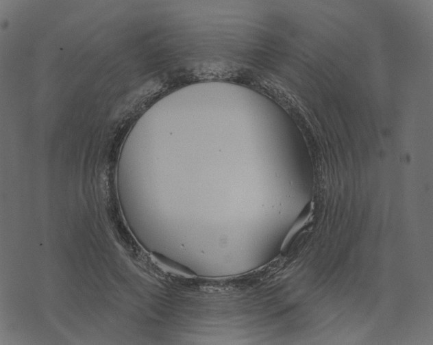 X0000073420690200608251550