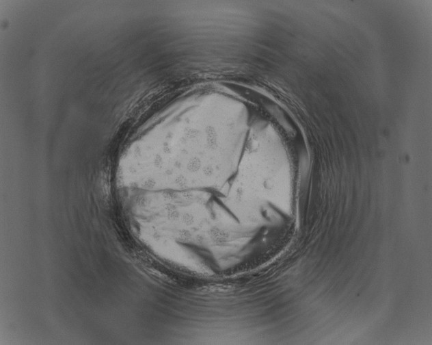 X0000073420691200608251550