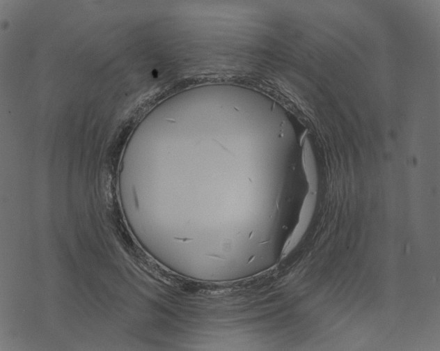 X0000073420692200608251550