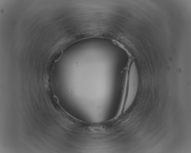 X0000073420693200608251550