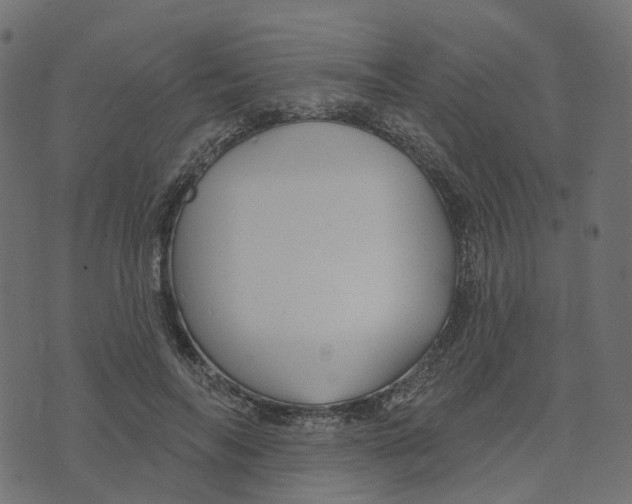 X0000073420694200608251550