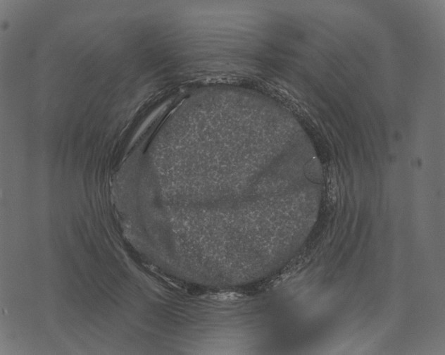 X0000073420695200608251550