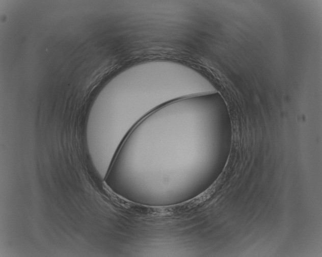 X0000073420696200608251550