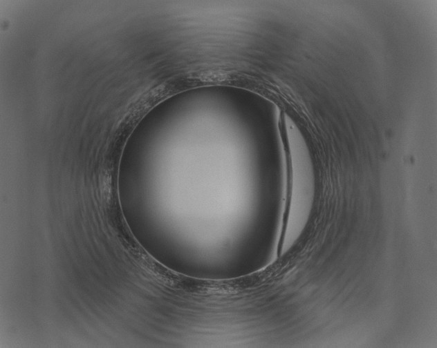 X0000073420697200608251550