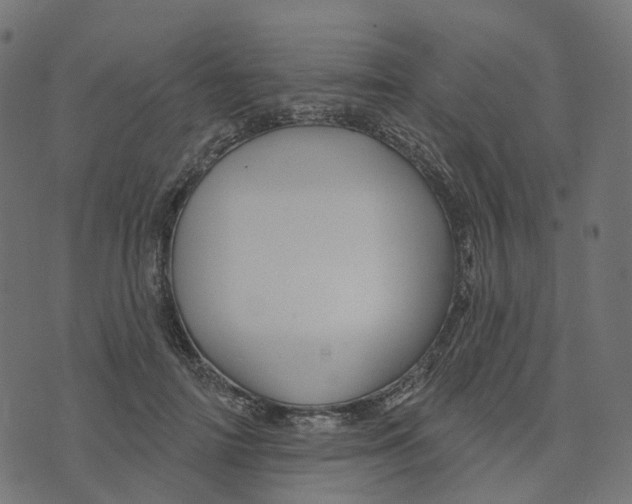 X0000073420698200608251550