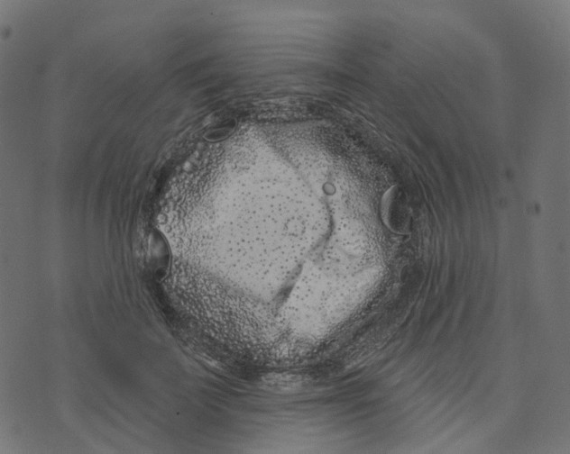 X0000073420699200608251550