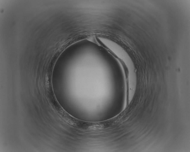 X0000073420700200608251550