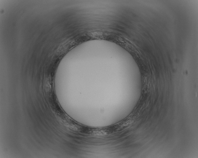 X0000073420702200608251550