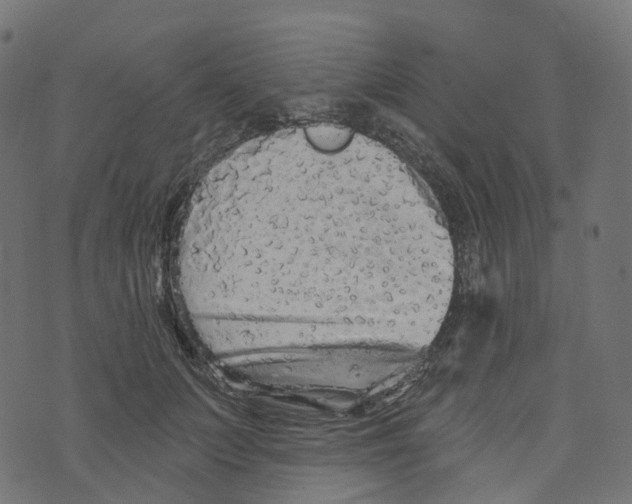 X0000073420703200608251550