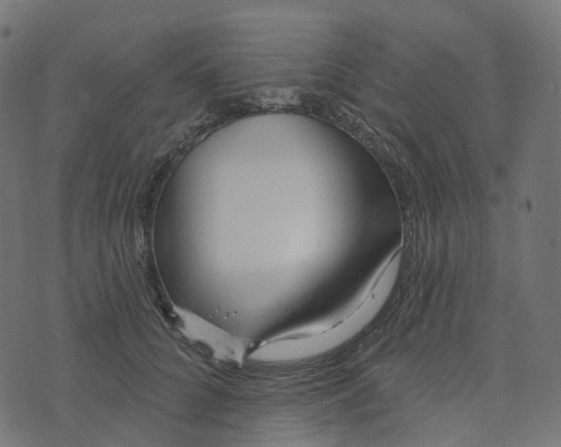 X0000073420704200608251550