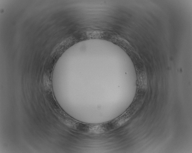 X0000073420705200608251550