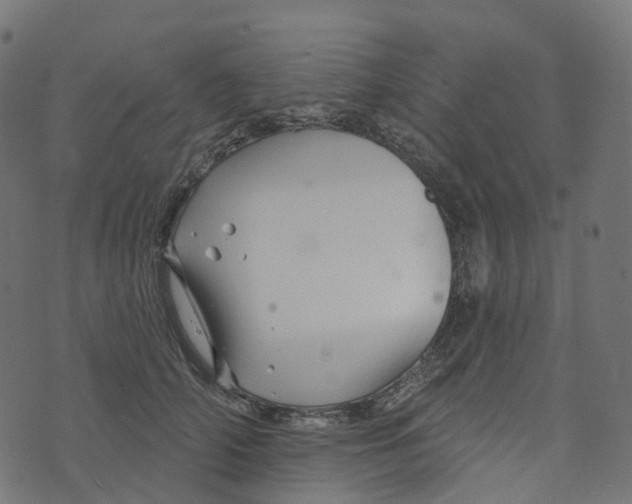 X0000073420706200608251550