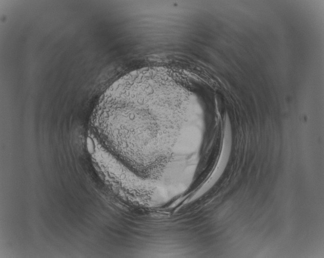 X0000073420707200608251550