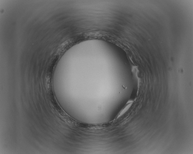 X0000073420708200608251550