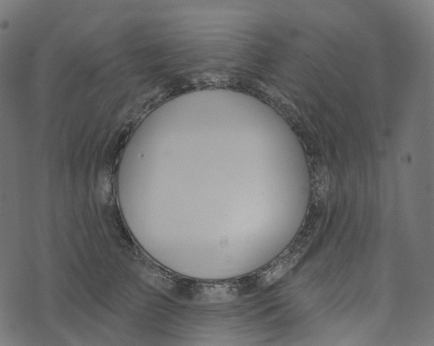 X0000073420709200608251550