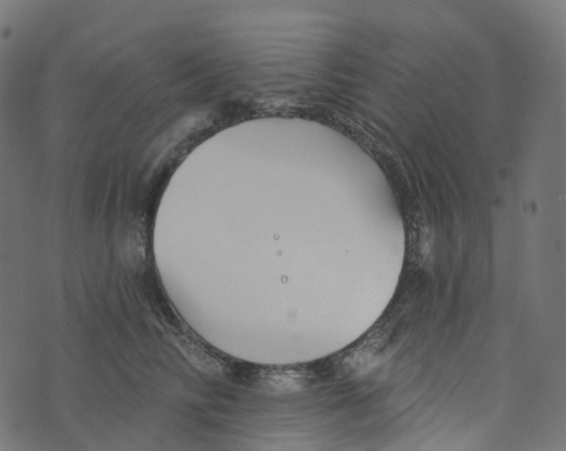 X0000073420710200608251550