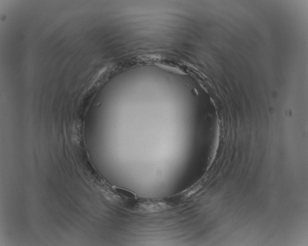 X0000073420712200608251550