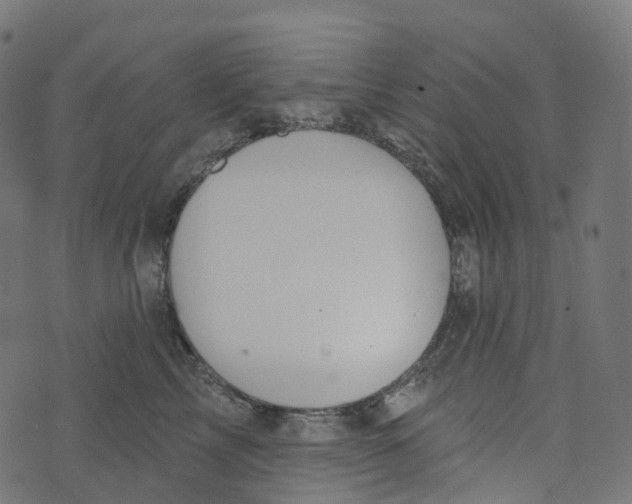 X0000073420713200608251550