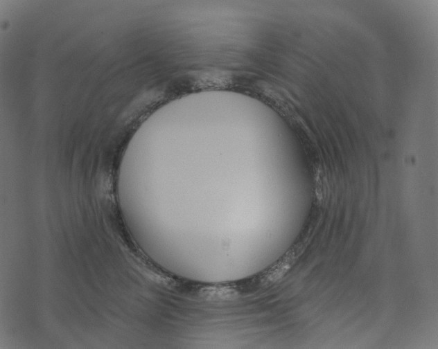 X0000073420714200608251550