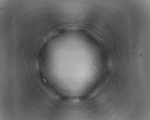 X0000073420715200608251550