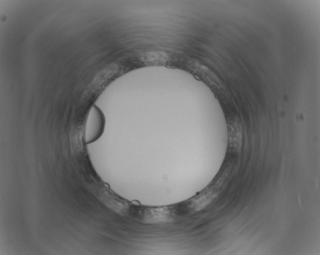 X0000073420717200608251550