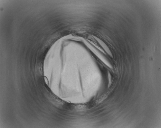 X0000073420718200608251550