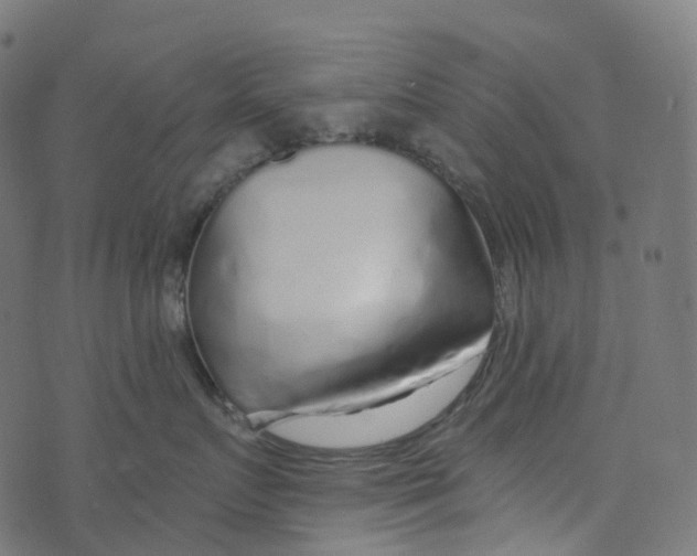 X0000073420719200608251550