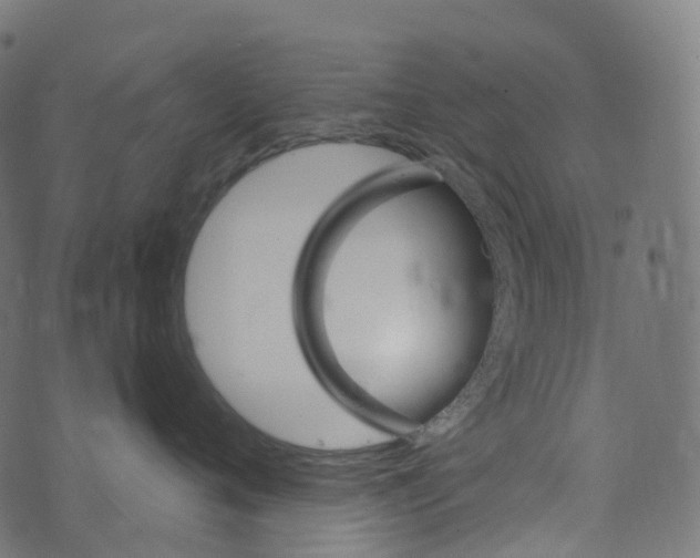 X0000073420720200608251550