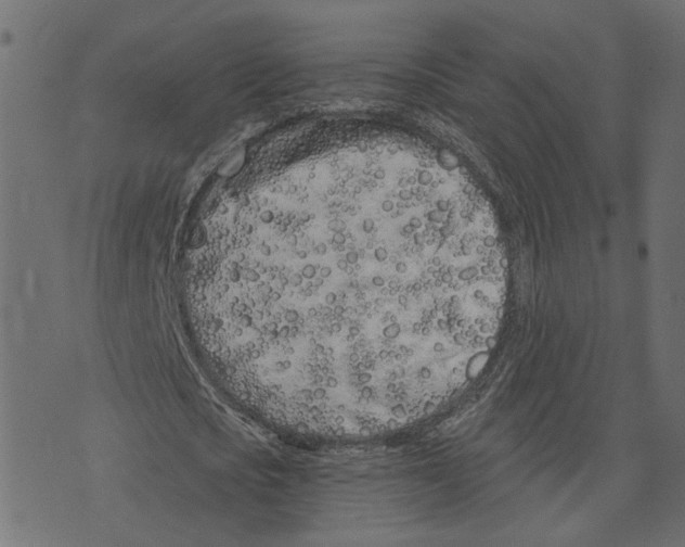 X0000073420721200608251549