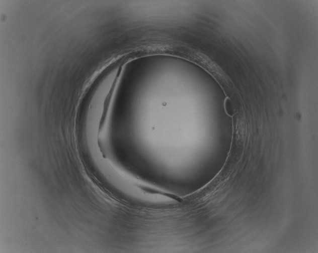 X0000073420722200608251549