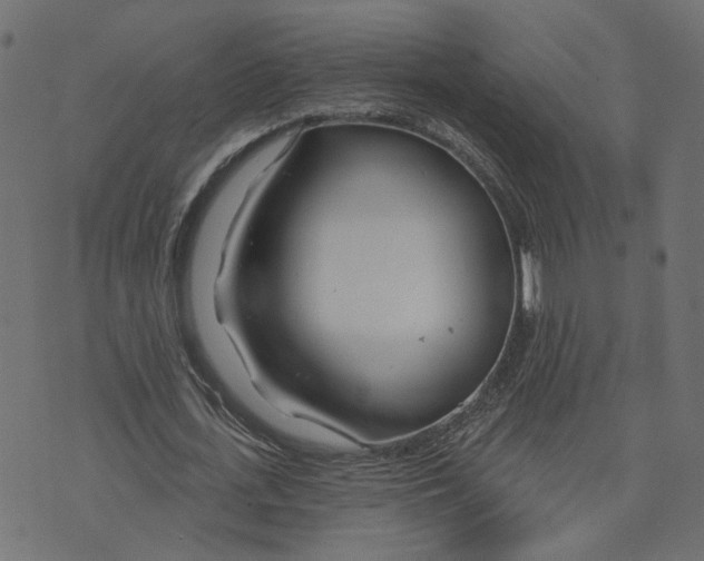 X0000073420723200608251549