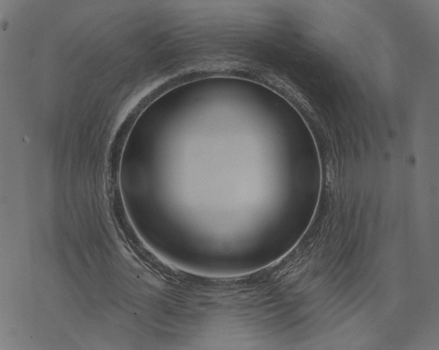 X0000073420724200608251549