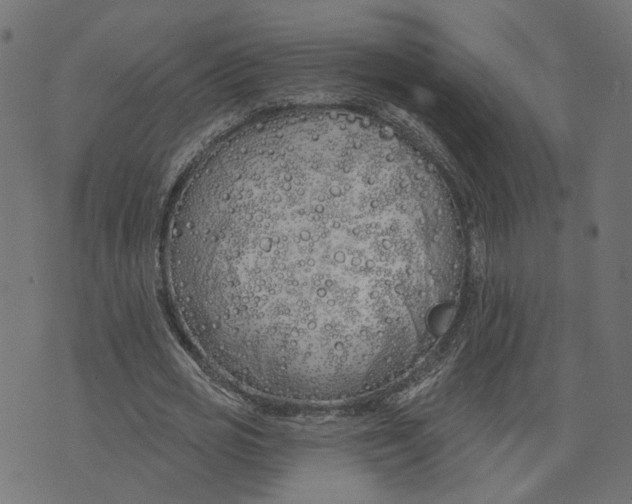 X0000073420725200608251549