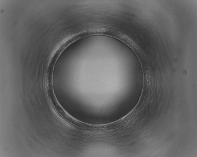 X0000073420726200608251549