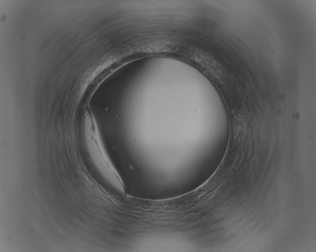 X0000073420727200608251549