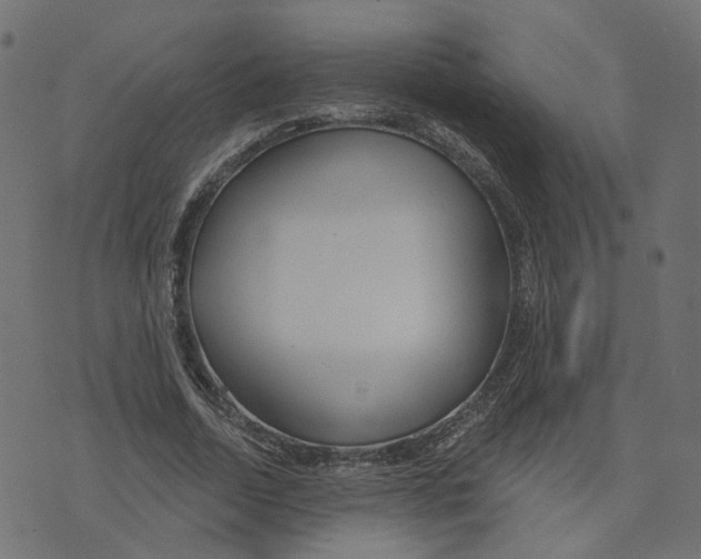 X0000073420730200608251549