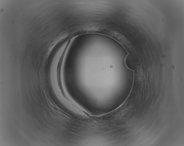 X0000073420731200608251549