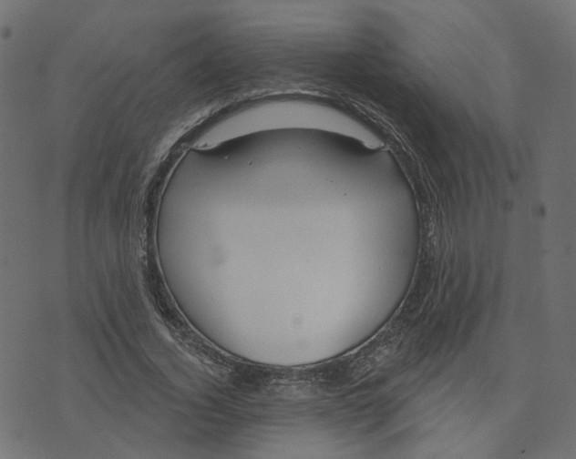 X0000073420732200608251549