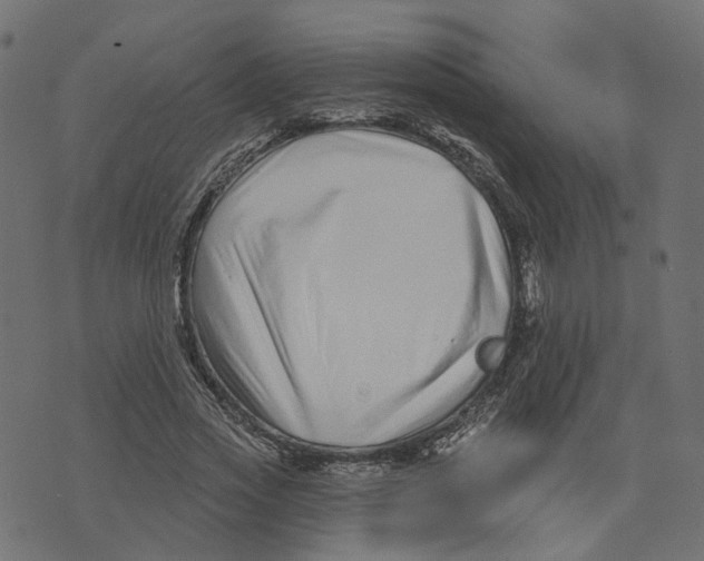 X0000073420733200608251549