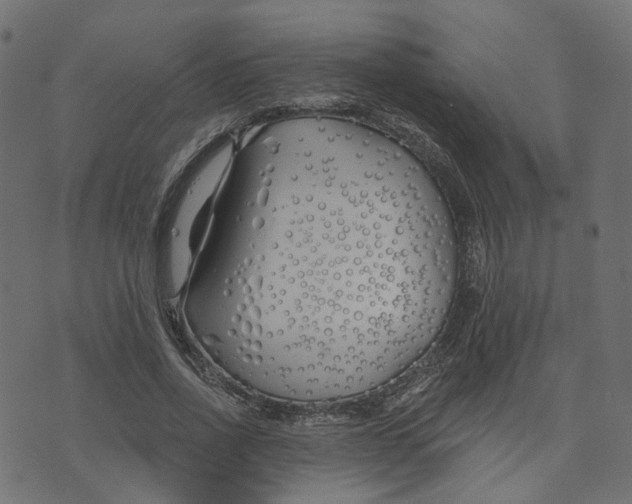 X0000073420734200608251549